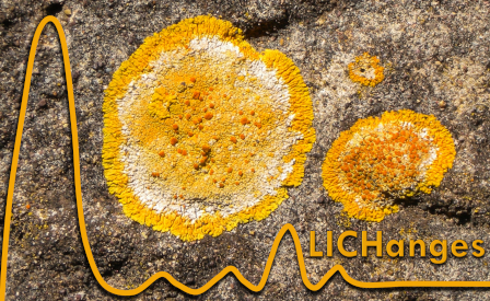  LICHanges: licheni sotto stress! 