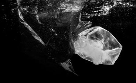  In a Changing Sea 